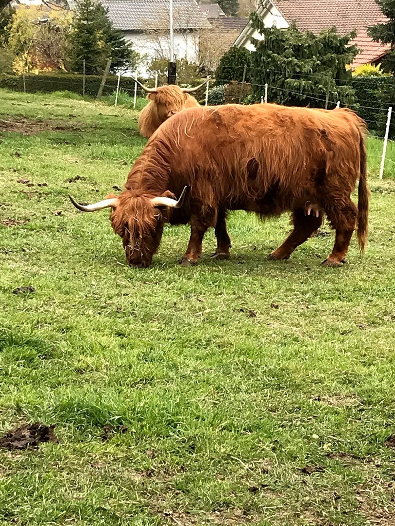 Highlands and others